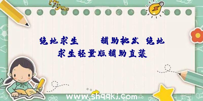 绝地求生pubg辅助批发、绝地求生轻量版辅助直装