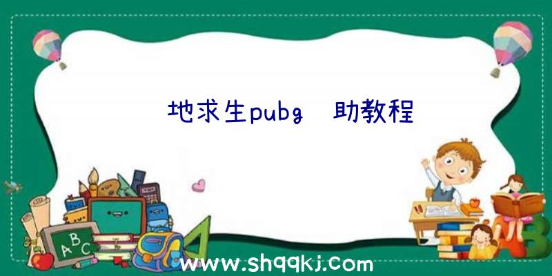 绝地求生pubg辅助教程