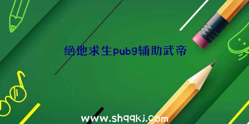 绝地求生pubg辅助武帝