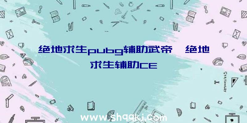 绝地求生pubg辅助武帝、绝地求生辅助CE