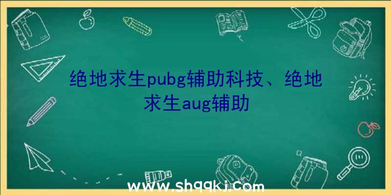 绝地求生pubg辅助科技、绝地求生aug辅助