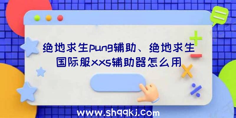 绝地求生pung辅助、绝地求生国际服xxs辅助器怎么用