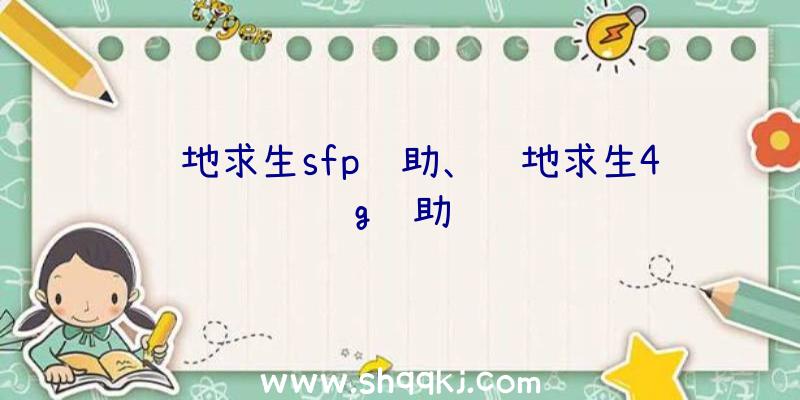 绝地求生sfp辅助、绝地求生4g辅助