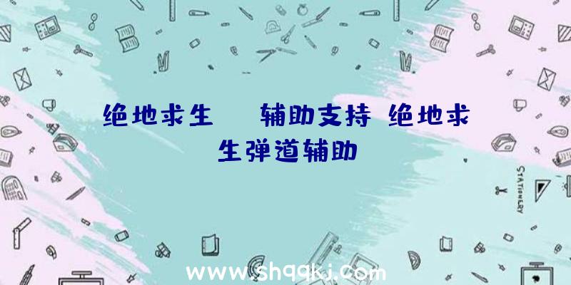 绝地求生sks辅助支持、绝地求生弹道辅助