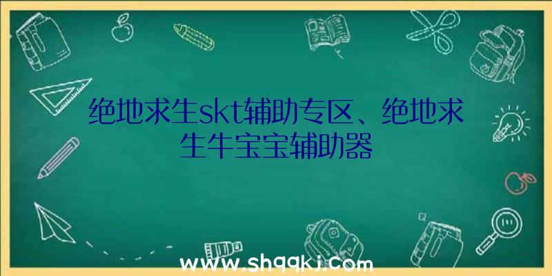 绝地求生skt辅助专区、绝地求生牛宝宝辅助器