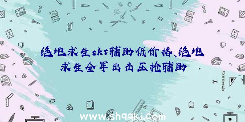 绝地求生skt辅助低价格、绝地求生全军出击压枪辅助