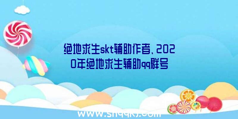 绝地求生skt辅助作者、2020年绝地求生辅助qq群号