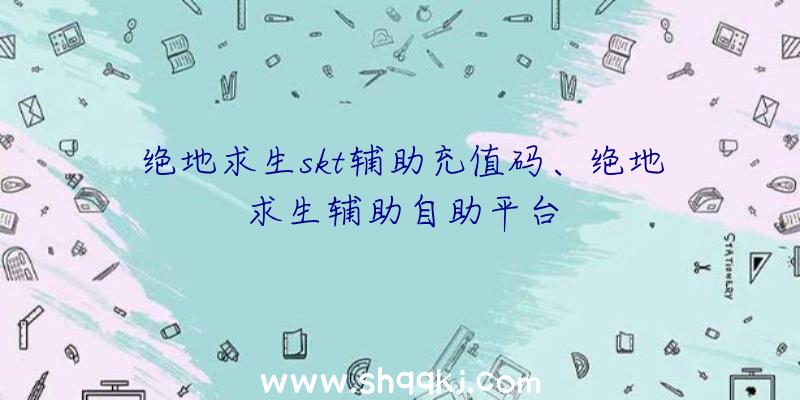 绝地求生skt辅助充值码、绝地求生辅助自助平台