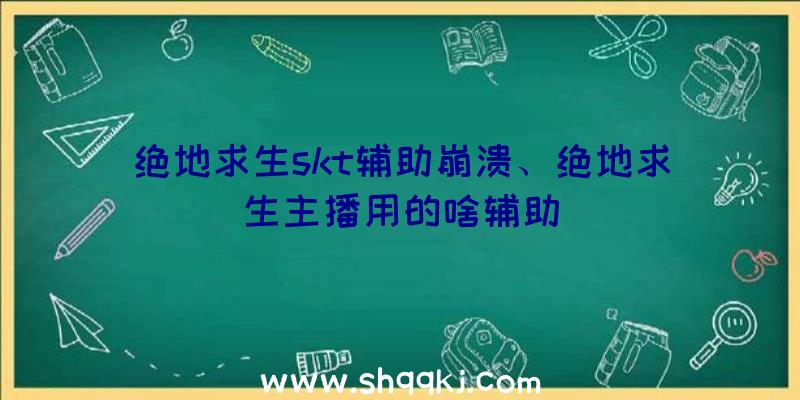 绝地求生skt辅助崩溃、绝地求生主播用的啥辅助