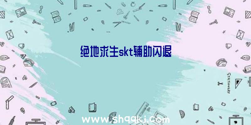 绝地求生skt辅助闪退