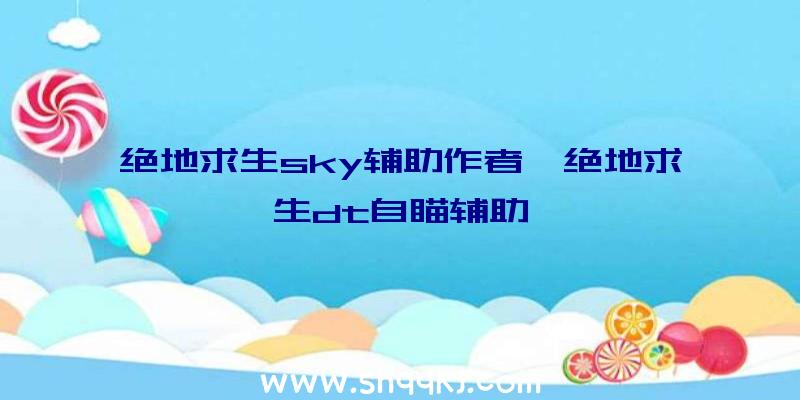 绝地求生sky辅助作者、绝地求生dt自瞄辅助