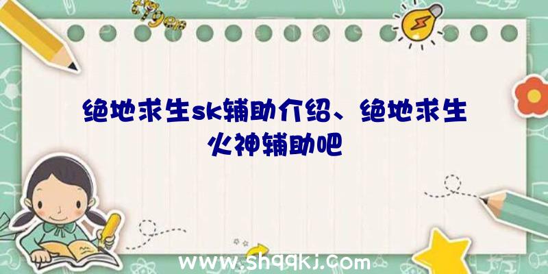 绝地求生sk辅助介绍、绝地求生火神辅助吧