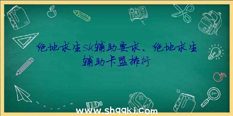 绝地求生sk辅助要求、绝地求生辅助卡盟排行