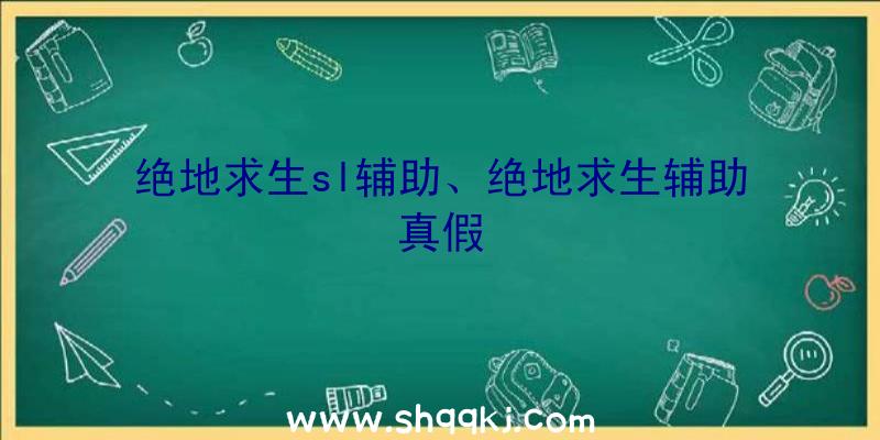 绝地求生sl辅助、绝地求生辅助真假