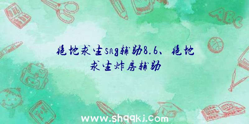 绝地求生sng辅助8.6、绝地求生炸房辅助