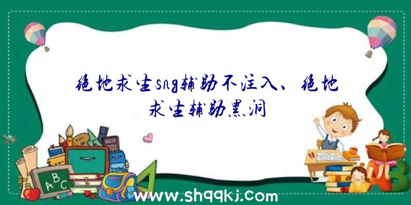 绝地求生sng辅助不注入、绝地求生辅助黑洞