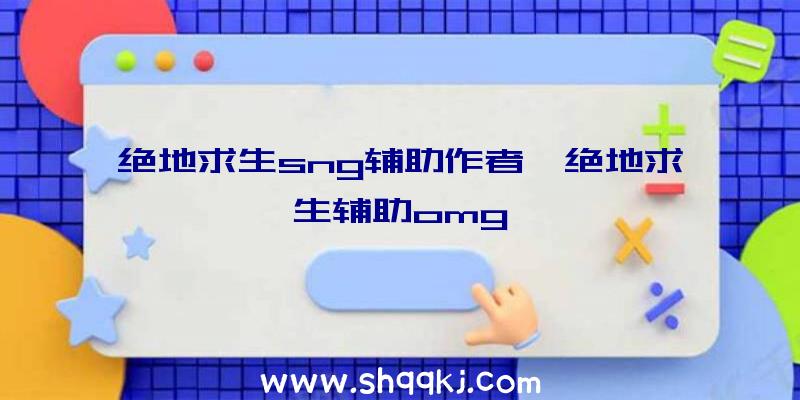 绝地求生sng辅助作者、绝地求生辅助omg