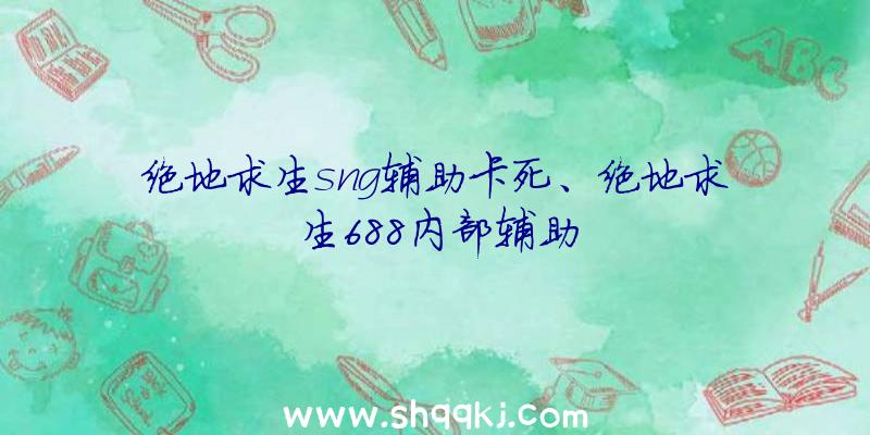 绝地求生sng辅助卡死、绝地求生688内部辅助