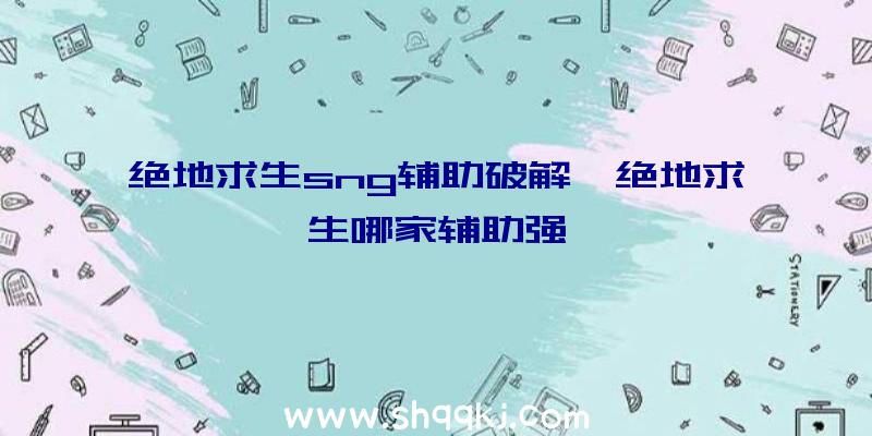 绝地求生sng辅助破解、绝地求生哪家辅助强