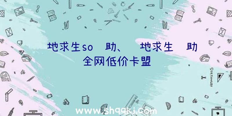 绝地求生so辅助、绝地求生辅助全网低价卡盟