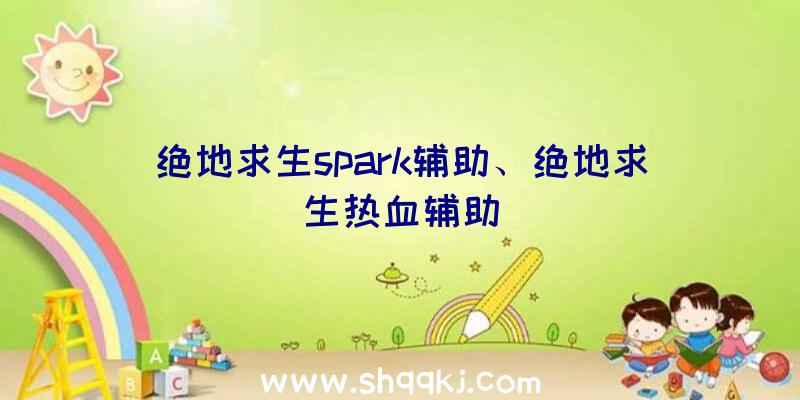 绝地求生spark辅助、绝地求生热血辅助