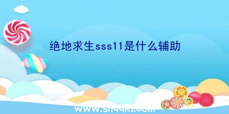 绝地求生sss11是什么辅助