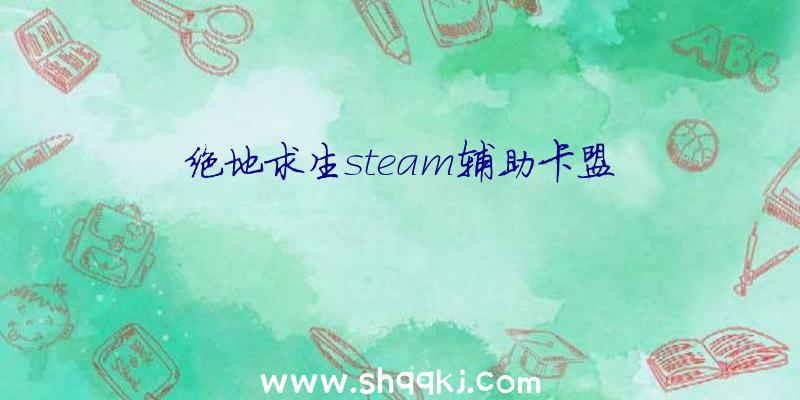 绝地求生steam辅助卡盟