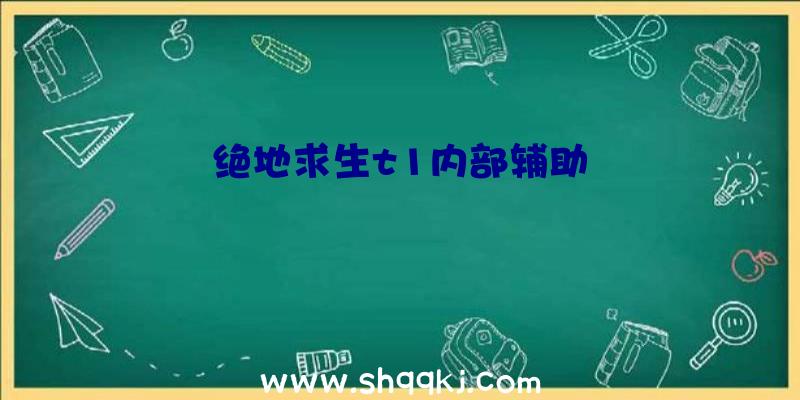 绝地求生t1内部辅助