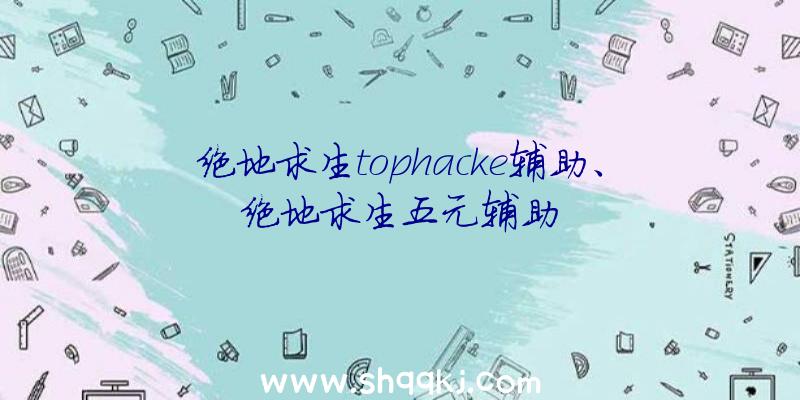 绝地求生tophacke辅助、绝地求生五元辅助