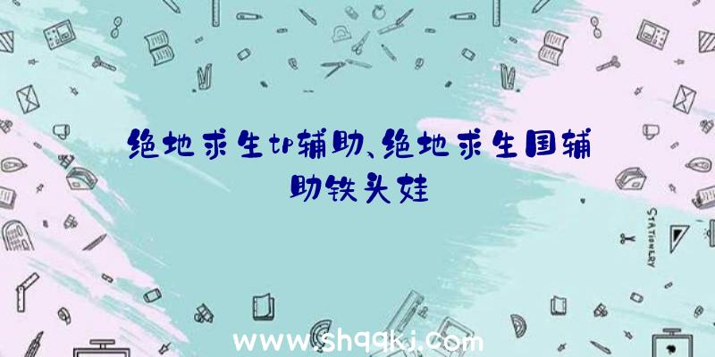 绝地求生tp辅助、绝地求生国辅助铁头娃