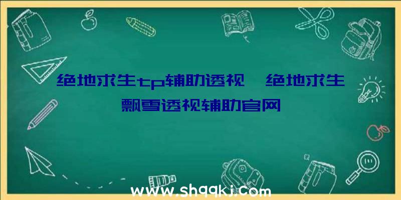 绝地求生tp辅助透视、绝地求生飘雪透视辅助官网