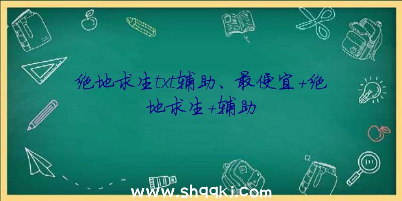 绝地求生txt辅助、最便宜+绝地求生+辅助