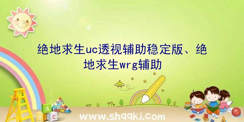 绝地求生uc透视辅助稳定版、绝地求生wrg辅助