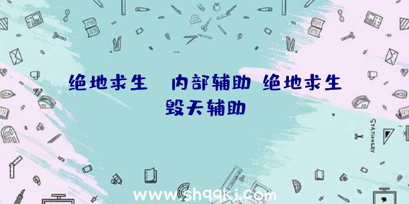 绝地求生uk内部辅助、绝地求生毁天辅助