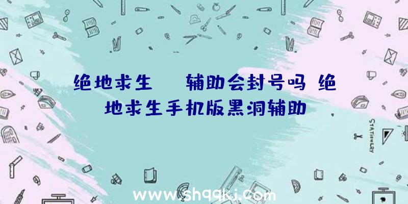 绝地求生usb辅助会封号吗、绝地求生手机版黑洞辅助