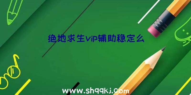 绝地求生vip辅助稳定么