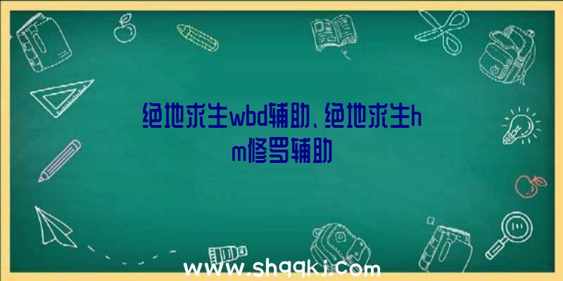 绝地求生wbd辅助、绝地求生hm修罗辅助