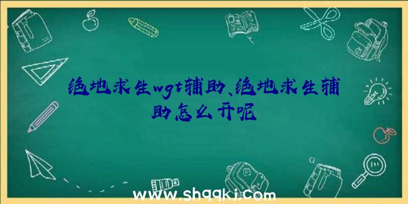 绝地求生wgt辅助、绝地求生辅助怎么开呢