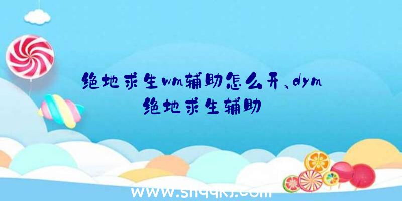 绝地求生wm辅助怎么开、dym绝地求生辅助