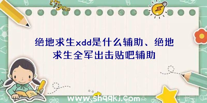 绝地求生xdd是什么辅助、绝地求生全军出击贴吧辅助