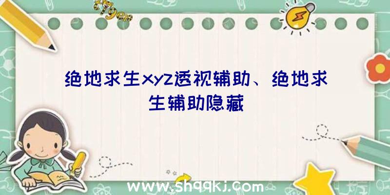 绝地求生xyz透视辅助、绝地求生辅助隐藏