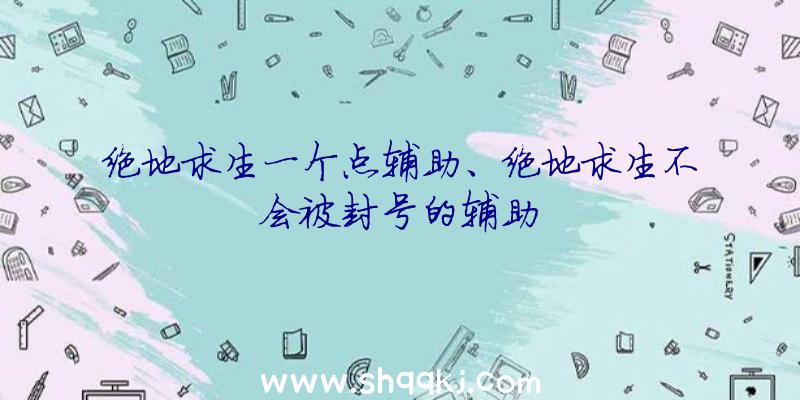 绝地求生一个点辅助、绝地求生不会被封号的辅助