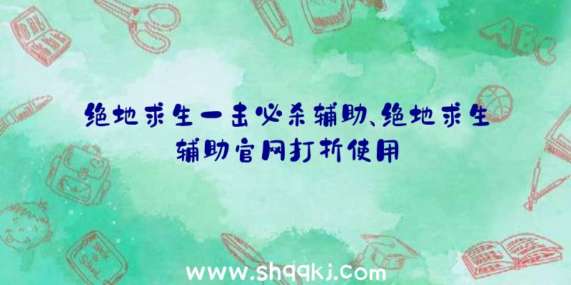 绝地求生一击必杀辅助、绝地求生辅助官网打折使用