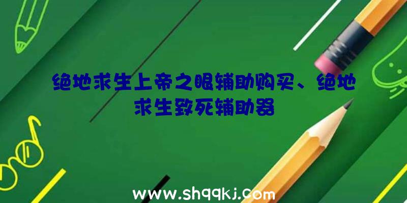 绝地求生上帝之眼辅助购买、绝地求生致死辅助器