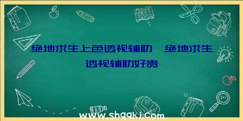 绝地求生上色透视辅助、绝地求生透视辅助好贵