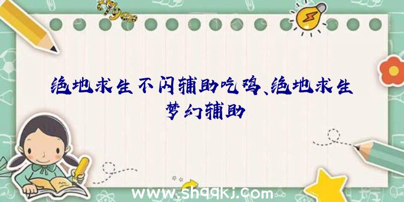 绝地求生不闪辅助吃鸡、绝地求生梦幻辅助