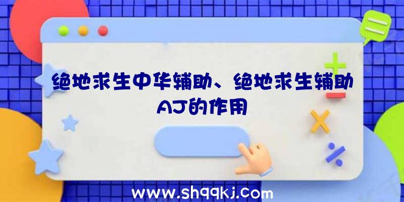 绝地求生中华辅助、绝地求生辅助AJ的作用