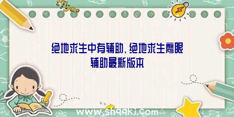 绝地求生中有辅助、绝地求生鹰眼辅助最新版本