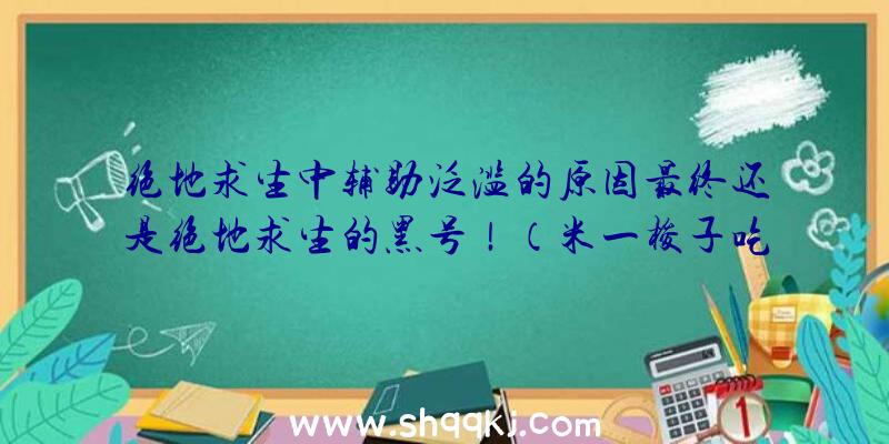 绝地求生中辅助泛滥的原因最终还是绝地求生的黑号！（米一梭子吃鸡压枪速射暴头打死,Q叔沉默很久,憋出两三句,便是）