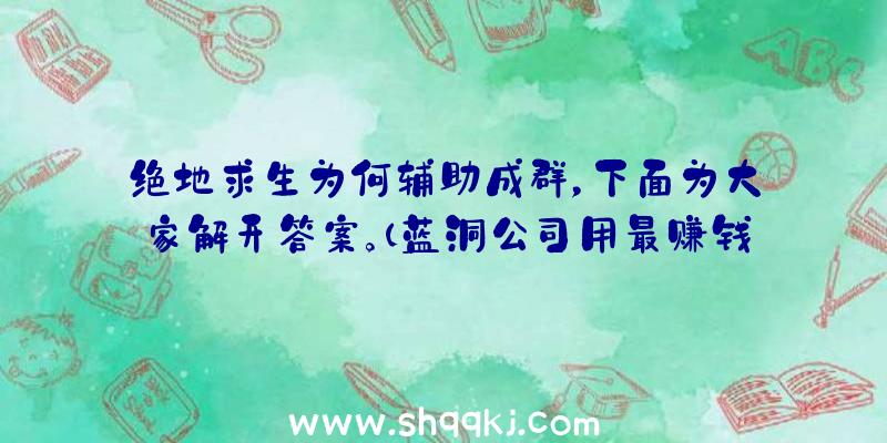 绝地求生为何辅助成群，下面为大家解开答案。（蓝洞公司用最赚钱方法来处理辅助工具）